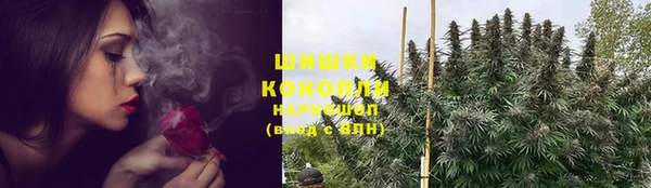 mdpv Богородицк