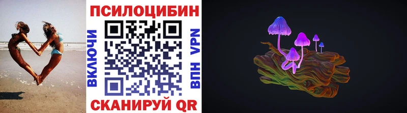 Галлюциногенные грибы Psilocybine cubensis  закладка  Короча 